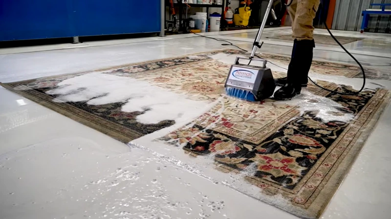 Professional carpet cleaning in Medford, Oregon