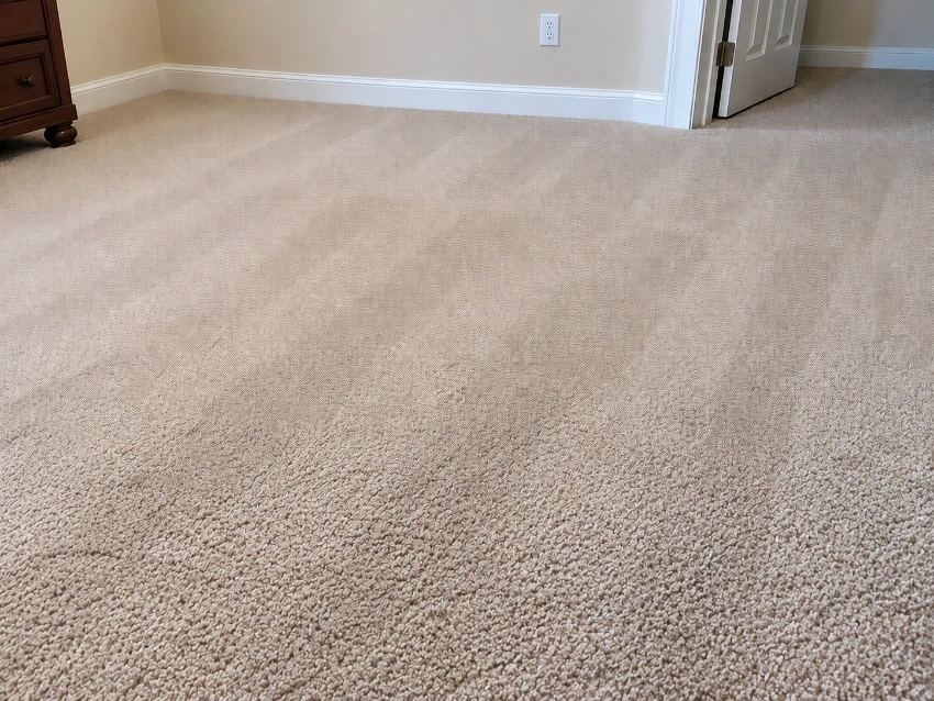 After photo of pet urine and odor removal